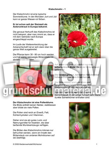Klatschmohn-1.pdf